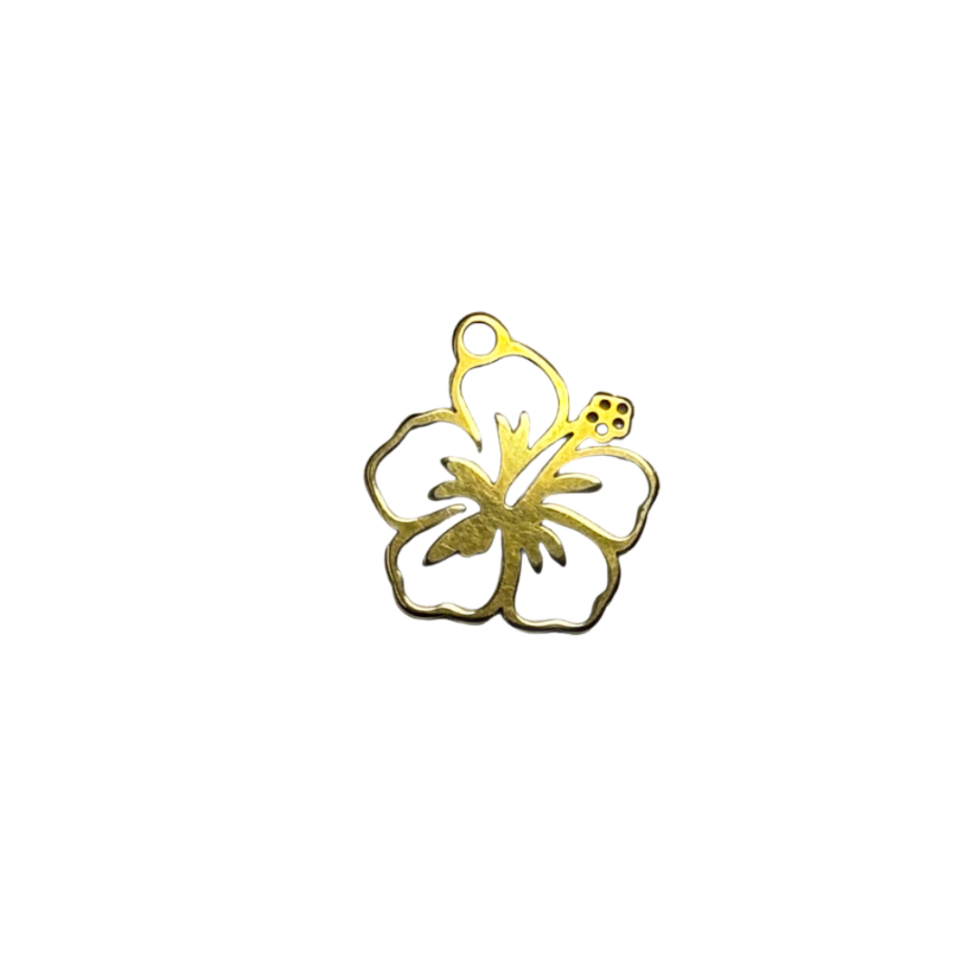 Hibiscus Charm
